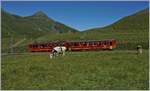 Der JB BDeh 2/4 208 mit seinem Bt fährt oberhalb der Kleinen Scheidegg Richtung Jungfraujoch.