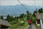 Auch ein sch�ner R�cken kann entz�cken...