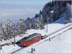 Der RB Bhe 2/4  N� 2 kurz vor Rigi Staffel.