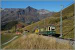 Bergw�rts schiebt der WAB BDeh 4/4 119 kurz nach der Wengeneralp.
