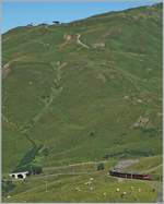 Vor wenigen Minuten haben ein bergwärts fahrenden JB Zug (im Vordergrund) und eine talwärts fahrender WAB Zug (im Hintergrund) die Kleine Scheidegg verlassen. 

8. August2016