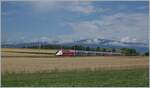 Der TGV 4725 ist als TGV Lyria 9261 kurz nach Arnex von Paris Gare de Lyon nach Lausanne unterwegs und somit schon fast am Ziel seiner Fahrt.

4. Juli 2022